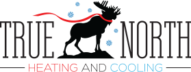 true north logo 480w
